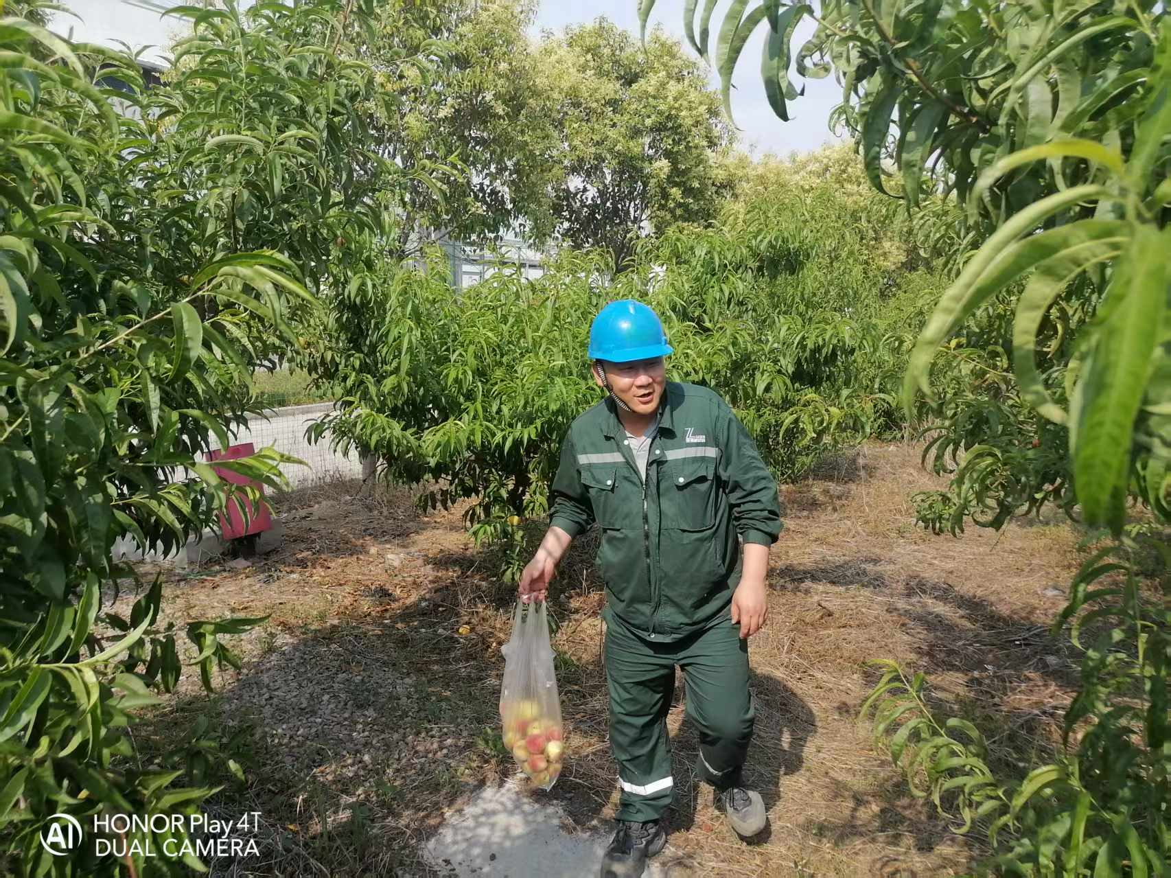 2025年6月綠洲桃園采摘活動(dòng)